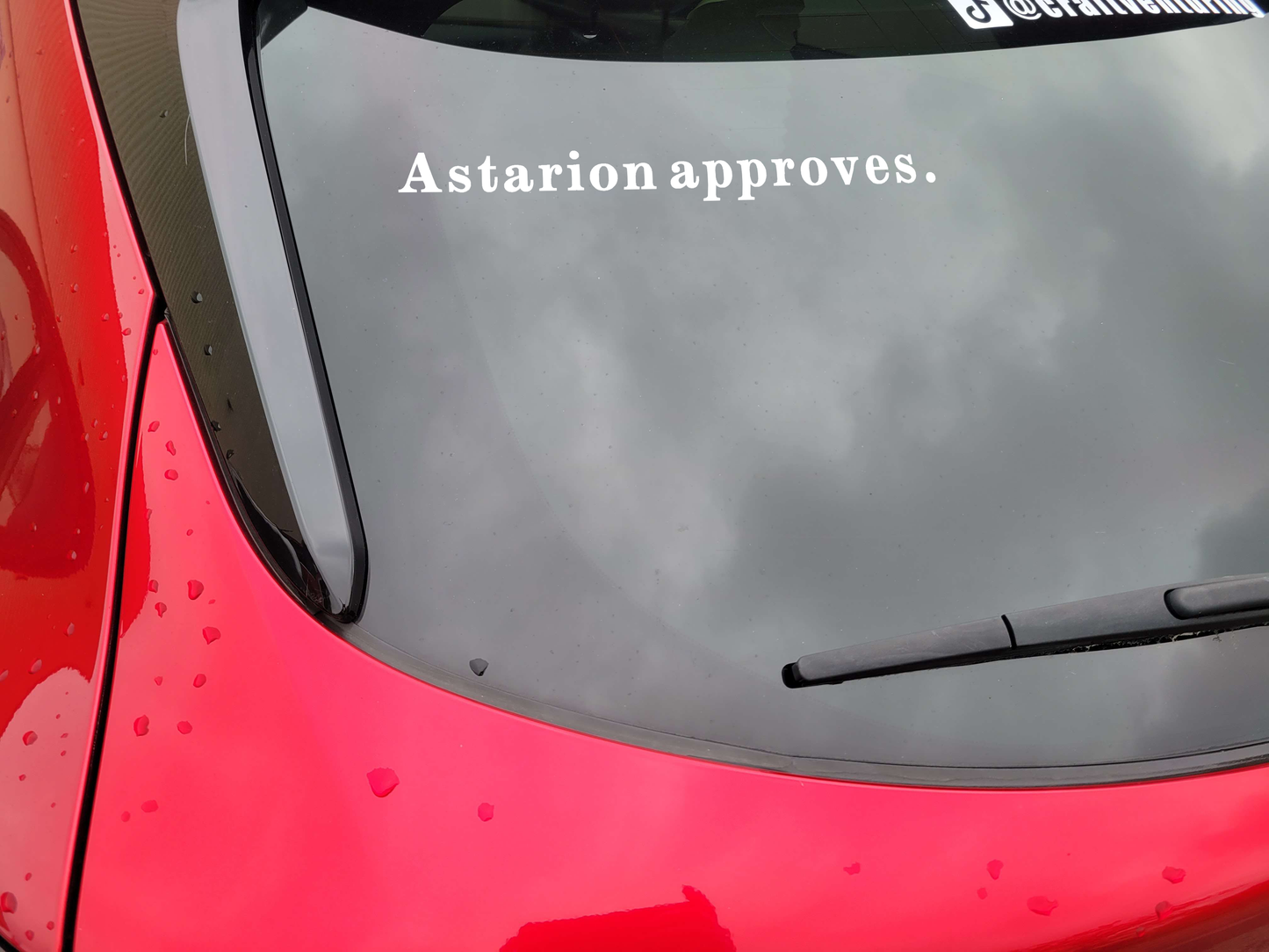 BG3 Companion Approves/Disapproves Vinyl Decal