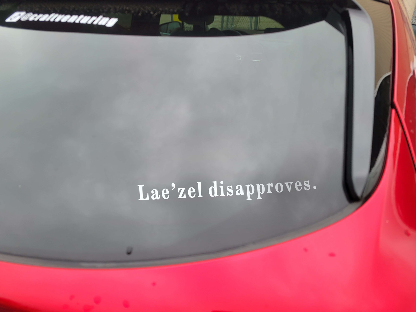 BG3 Companion Approves/Disapproves Vinyl Decal