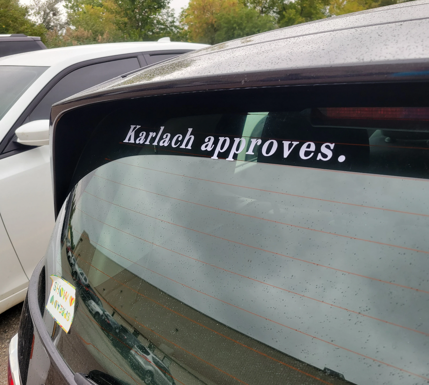 BG3 Companion Approves/Disapproves Vinyl Decal